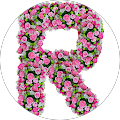 Raquel Tavares Avatar